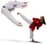 www.Taekwondo-Supplies.com